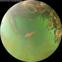 ./images/calvert/underwater/20260703/underwater20260703_072501M.jpg