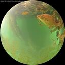 ./images/calvert/underwater/20260703/underwater20260703_074501M.jpg