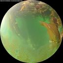 ./images/calvert/underwater/20260703/underwater20260703_080001M.jpg