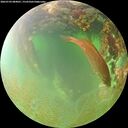./images/calvert/underwater/20260703/underwater20260703_084001M.jpg