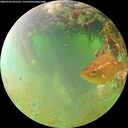 ./images/calvert/underwater/20260703/underwater20260703_091501M.jpg