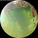 ./images/calvert/underwater/20260703/underwater20260703_092501M.jpg