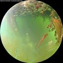 ./images/calvert/underwater/20260703/underwater20260703_094502M.jpg
