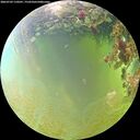./images/calvert/underwater/20260703/underwater20260703_110501M.jpg