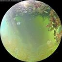 ./images/calvert/underwater/20260703/underwater20260703_112001M.jpg