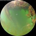 ./images/calvert/underwater/20260703/underwater20260703_124501M.jpg