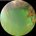 ./images/calvert/underwater/20260703/underwater20260703_130001M.jpg
