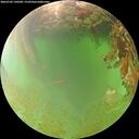 ./images/calvert/underwater/20260703/underwater20260703_130501M.jpg