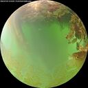 ./images/calvert/underwater/20260703/underwater20260703_131001M.jpg