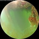 ./images/calvert/underwater/20260703/underwater20260703_132002M.jpg