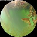 ./images/calvert/underwater/20260703/underwater20260703_133001M.jpg