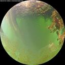 ./images/calvert/underwater/20260703/underwater20260703_134001M.jpg