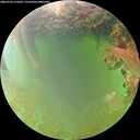 ./images/calvert/underwater/20260703/underwater20260703_134501M.jpg