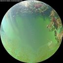 ./images/calvert/underwater/20260703/underwater20260703_140001M.jpg