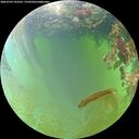 ./images/calvert/underwater/20260703/underwater20260703_142501M.jpg