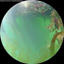 ./images/calvert/underwater/20260703/underwater20260703_181501M.jpg