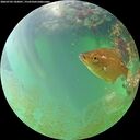 ./images/calvert/underwater/20260703/underwater20260703_182001M.jpg