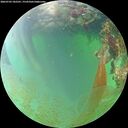 ./images/calvert/underwater/20260703/underwater20260703_182501M.jpg
