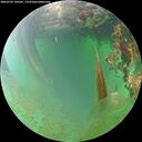 ./images/calvert/underwater/20260703/underwater20260703_190501M.jpg