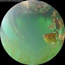 ./images/calvert/underwater/20260703/underwater20260703_191001M.jpg