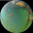 ./images/calvert/underwater/20260703/underwater20260703_194001M.jpg