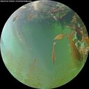 ./images/calvert/underwater/20260703/underwater20260703_195001M.jpg