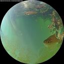./images/calvert/underwater/20260703/underwater20260703_201501M.jpg
