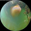 ./images/calvert/underwater/20260703/underwater20260703_202001M.jpg