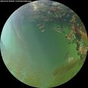 ./images/calvert/underwater/20260703/underwater20260703_203001M.jpg
