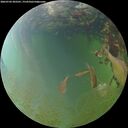 ./images/calvert/underwater/20260703/underwater20260703_203501M.jpg