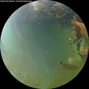 ./images/calvert/underwater/20260703/underwater20260703_204501M.jpg