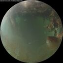 ./images/calvert/underwater/20260703/underwater20260703_213501M.jpg