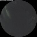 ./images/calvert/underwater/20260704/underwater20260704_044001M.jpg