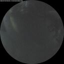 ./images/calvert/underwater/20260704/underwater20260704_045502M.jpg