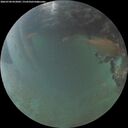 ./images/calvert/underwater/20260704/underwater20260704_052001M.jpg