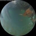 ./images/calvert/underwater/20260704/underwater20260704_053001M.jpg