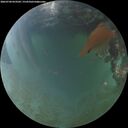 ./images/calvert/underwater/20260704/underwater20260704_053502M.jpg