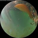 ./images/calvert/underwater/20260704/underwater20260704_061002M.jpg