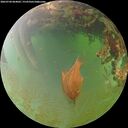 ./images/calvert/underwater/20260704/underwater20260704_064001M.jpg