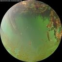 ./images/calvert/underwater/20260704/underwater20260704_071501M.jpg