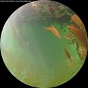 ./images/calvert/underwater/20260704/underwater20260704_075501M.jpg