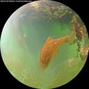 ./images/calvert/underwater/20260704/underwater20260704_090002M.jpg