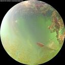 ./images/calvert/underwater/20260704/underwater20260704_104502M.jpg