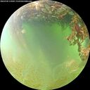 ./images/calvert/underwater/20260704/underwater20260704_112001M.jpg