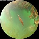 ./images/calvert/underwater/20260704/underwater20260704_124001M.jpg