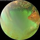 ./images/calvert/underwater/20260704/underwater20260704_143501M.jpg