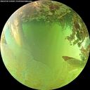 ./images/calvert/underwater/20260704/underwater20260704_152002M.jpg