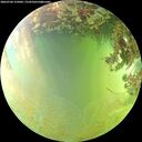 ./images/calvert/underwater/20260704/underwater20260704_155001M.jpg