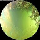 ./images/calvert/underwater/20260704/underwater20260704_160001M.jpg