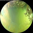./images/calvert/underwater/20260704/underwater20260704_160501M.jpg